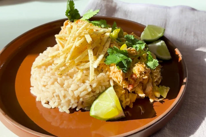 Brazilian Chicken Stroganoff by Your Mama's Kitchen and Camila Alves McConaughey