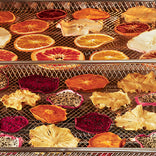 Dried fruit slices on a dehydrator tray