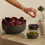 Serving Set-Spice-hover